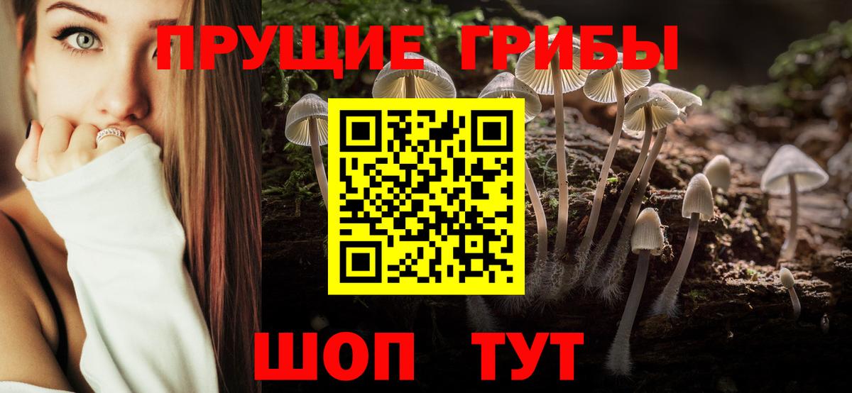 Псилоцибиновые грибы Cubensis  Псилоцибиновые грибы Magic Shrooms  Вход с VPN  Подольск 